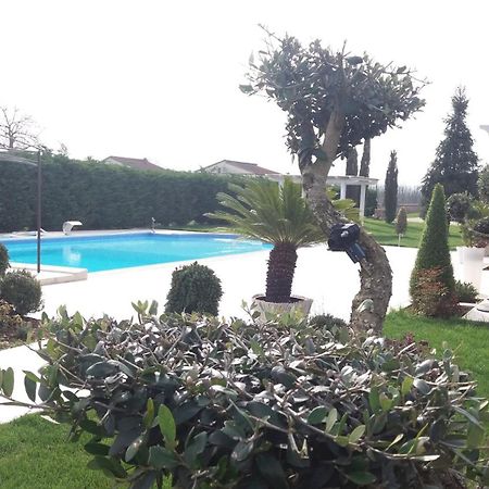 Agriturismo Sant' Isidoro Villa Anagni Ngoại thất bức ảnh